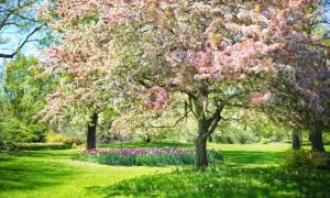 Spring Clean Your Communication